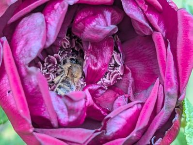 PXL_20250526_121843056