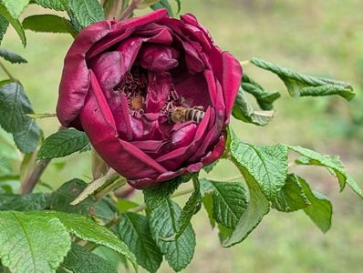 PXL_20250526_122027692