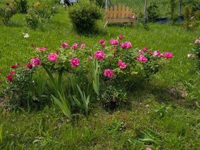 PXL_20250531_092036540