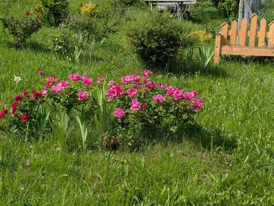 PXL_20250602_064758317