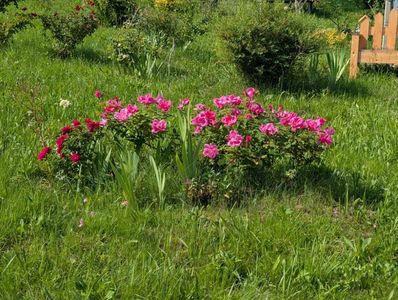 PXL_20250602_064801016