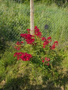 PXL_20250607_060537011