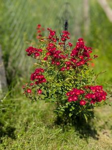 PXL_20250605_075814124.PORTRAIT