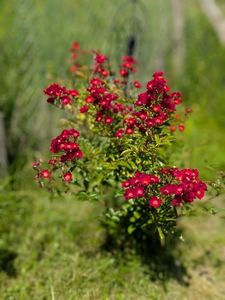 PXL_20250605_075818064.PORTRAIT