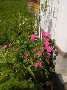 PXL_20250607_062153946