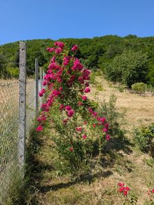 PXL_20250621_075858344