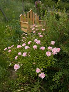 PXL_20250610_105934936