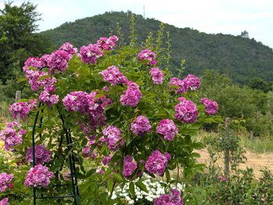 PXL_20250610_111213885