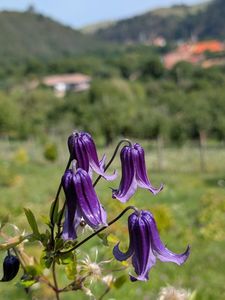 PXL_20250808_080713790