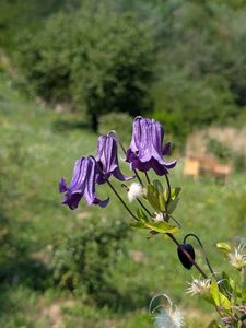 PXL_20250808_080844037