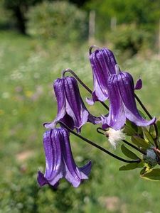 PXL_20250808_080855004