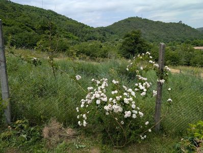 PXL_20250610_110722021