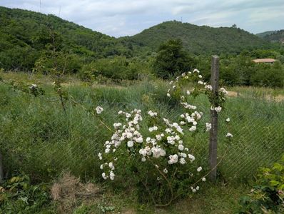 PXL_20250610_110724465