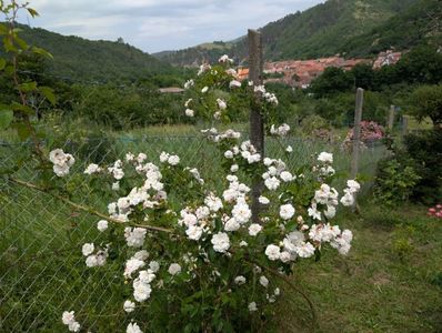 PXL_20250610_110759744