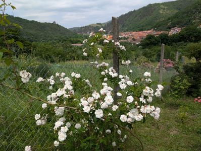 PXL_20250610_110801477