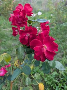 PXL_20250902_160811894