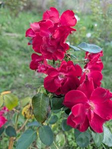 PXL_20250902_160829774