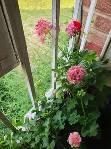 Messenger_creation_1AABDED7-9B71-4A61-980D-FBB5FF7E42C1