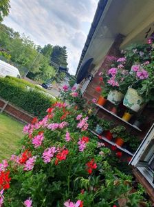 Messenger_creation_209B01AA-7A9C-4CE9-97E0-005C4484FD58