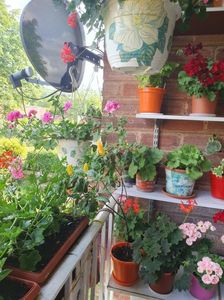 Messenger_creation_8EACBA86-0893-40E6-8633-2765F46ABA3A