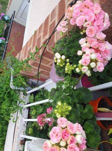 Messenger_creation_6A7C8337-8E8E-4483-BAB0-10593CA500F9