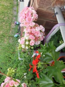 Messenger_creation_34D40515-F12D-4BAE-AD44-D2C4EC8E6D50