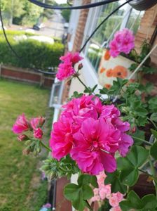 Messenger_creation_2EA23761-E982-4BD5-B527-83EDB3644C13