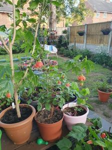 Messenger_creation_32BE931D-9F50-44A0-BFFC-13048BE4BDE1