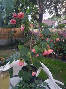 Messenger_creation_4E279890-08B3-4188-999A-470448C43F9D