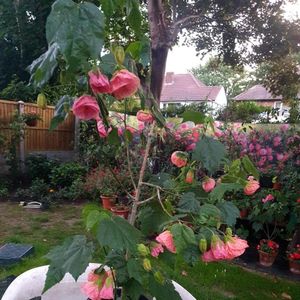 Messenger_creation_F3320808-C429-4E0F-A17D-FC1EE319303A