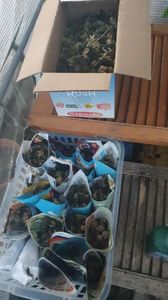 Messenger_creation_BD519FAE-C08B-4E00-9E8D-AFEB752510C4