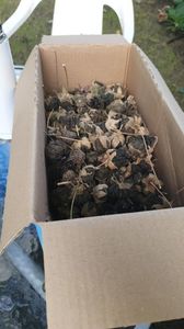 Messenger_creation_F42D1E13-5408-4830-9282-376159550DB2