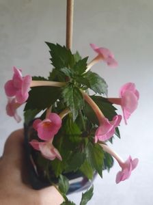 Messenger_creation_23ACA1F5-26BC-455F-8AAB-08F715C371BA