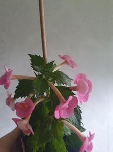 Messenger_creation_77D10F7B-2C76-41EC-9DAE-6FF47C26F889 Messenger_creation_77D10F7B-2C76-41EC-9DAE-6FF47C26F889