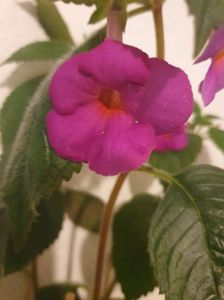 Messenger_creation_975CF228-51A2-4167-B8EA-840EF5452FC4 Messenger_creation_975CF228-51A2-4167-B8EA-840EF5452FC4