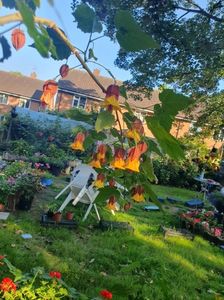 Messenger_creation_5012EC95-C1E4-4672-B110-FD504E18E7A1