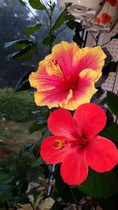 Messenger_creation_1FFFD83D-920C-4B40-9673-988DF1073CF5
