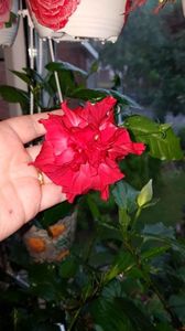 Messenger_creation_9F70CB9E-EAAB-4090-8567-FB66E9687CE1