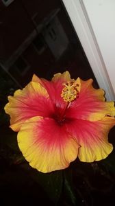 Messenger_creation_C5B5D825-4AD4-417C-93A4-ED5CBBBDEE1A