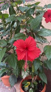 Messenger_creation_C2AF15C6-F367-4005-9792-1337AC9636D3 Messenger_creation_C2AF15C6-F367-4005-9792-1337AC9636D3