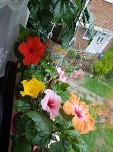 Messenger_creation_CF9660AF-1806-4602-B100-D88CEE10618D