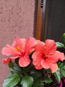 Messenger_creation_0921BA68-1B1B-4A37-AA3A-FAA65E84286E