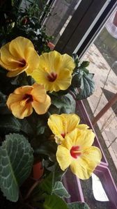 Messenger_creation_DC69A3B8-0EB6-4CEB-BC08-460FA4DB1994