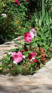 Messenger_creation_C66A8AFE-1D6D-4108-8408-0824DC47E186