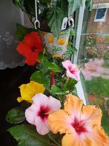 Messenger_creation_F8C7F725-B161-4708-845C-1D2D76AB4AAD