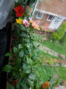 Messenger_creation_5567AE92-9F5E-4DFF-99C1-AF6801A5AE0E