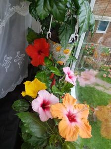 Messenger_creation_E4696B24-3555-40C7-9F25-5BB740E11F3E