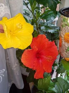 Messenger_creation_8C5519AD-8E97-42DB-82E0-BE84A6DF8BBF