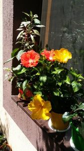 Messenger_creation_B3F9515C-71E0-402D-BD92-C46DB5742360