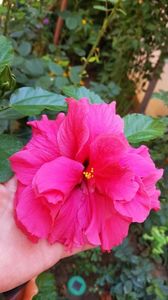 Messenger_creation_369F9330-94D0-4FA2-9912-CBDFE3A94E6A